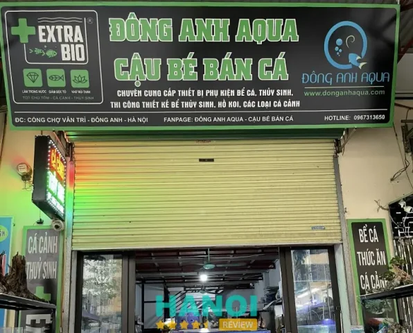 cá cảnh hà nội