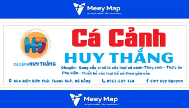 Cá cảnh Huy Thắng