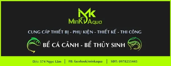 Danh Sách Cửa Hàng Cá Cảnh Long Biên Uy Tín & Kinh Nghiệm Mua Sắm