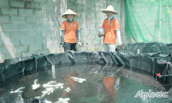 Chá» Nguyá»n Thá» Há»ng Nhung khá»i nghiá»p thÃ nh cÃ´ng tá»« con cÃ¡ cáº£nh.