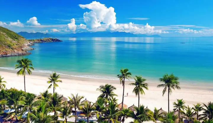cá cảnh nha trang