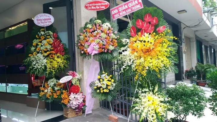 Cửa hàng Cá cảnh Rồng Nam Dương