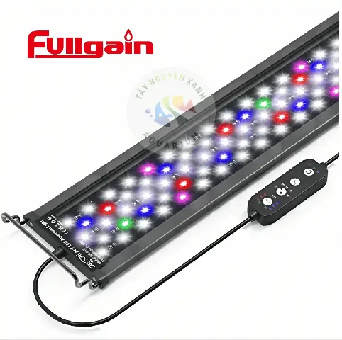 Hướng Dẫn Toàn Diện Để Tìm Mua Cá Cảnh Quận Tân Bình
