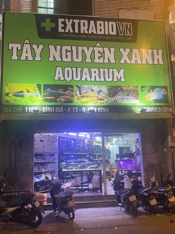 Hướng Dẫn Toàn Diện Để Tìm Mua Cá Cảnh Quận Tân Bình