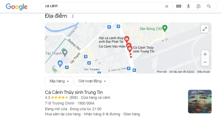 cá cảnh sài gòn