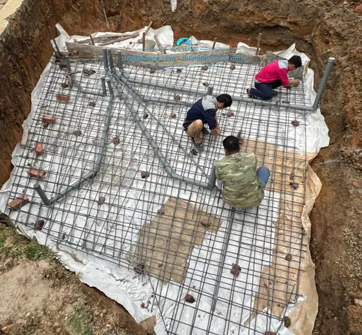 Những Điều Cần Biết Khi Mua Cá Cảnh Tại Sóc Sơn Những Điều Cần Biết Khi Mua Cá Cảnh Tại Sóc Sơn