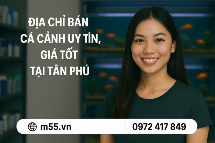 Cá cảnh Tân Phú