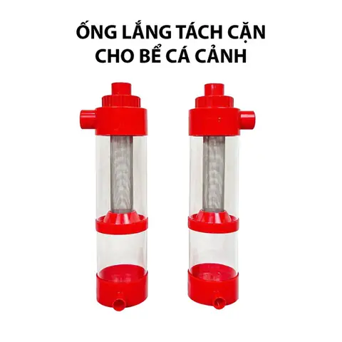 cá cảnh thái hòa