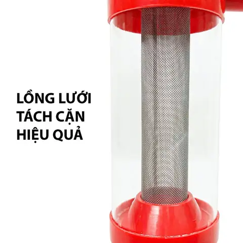 cá cảnh thái hòa