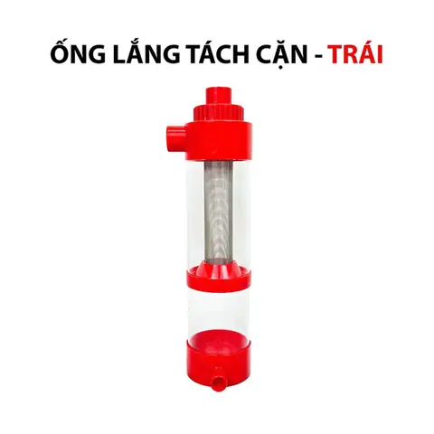 cá cảnh thái hòa
