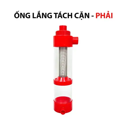 cá cảnh thái hòa