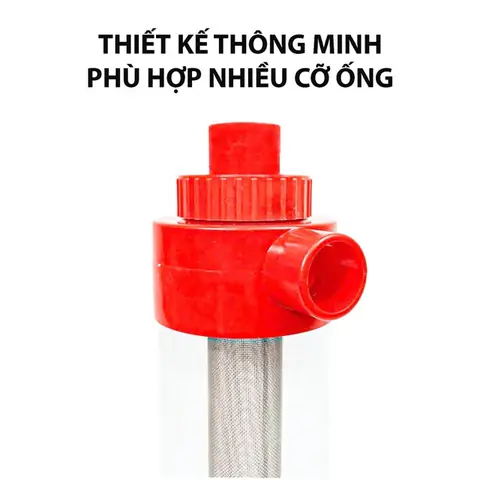 cá cảnh thái hòa