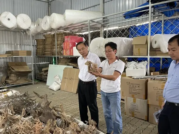 Cửa hàng thuỷ sinh đa dạng và phong phú nhất hiện nay