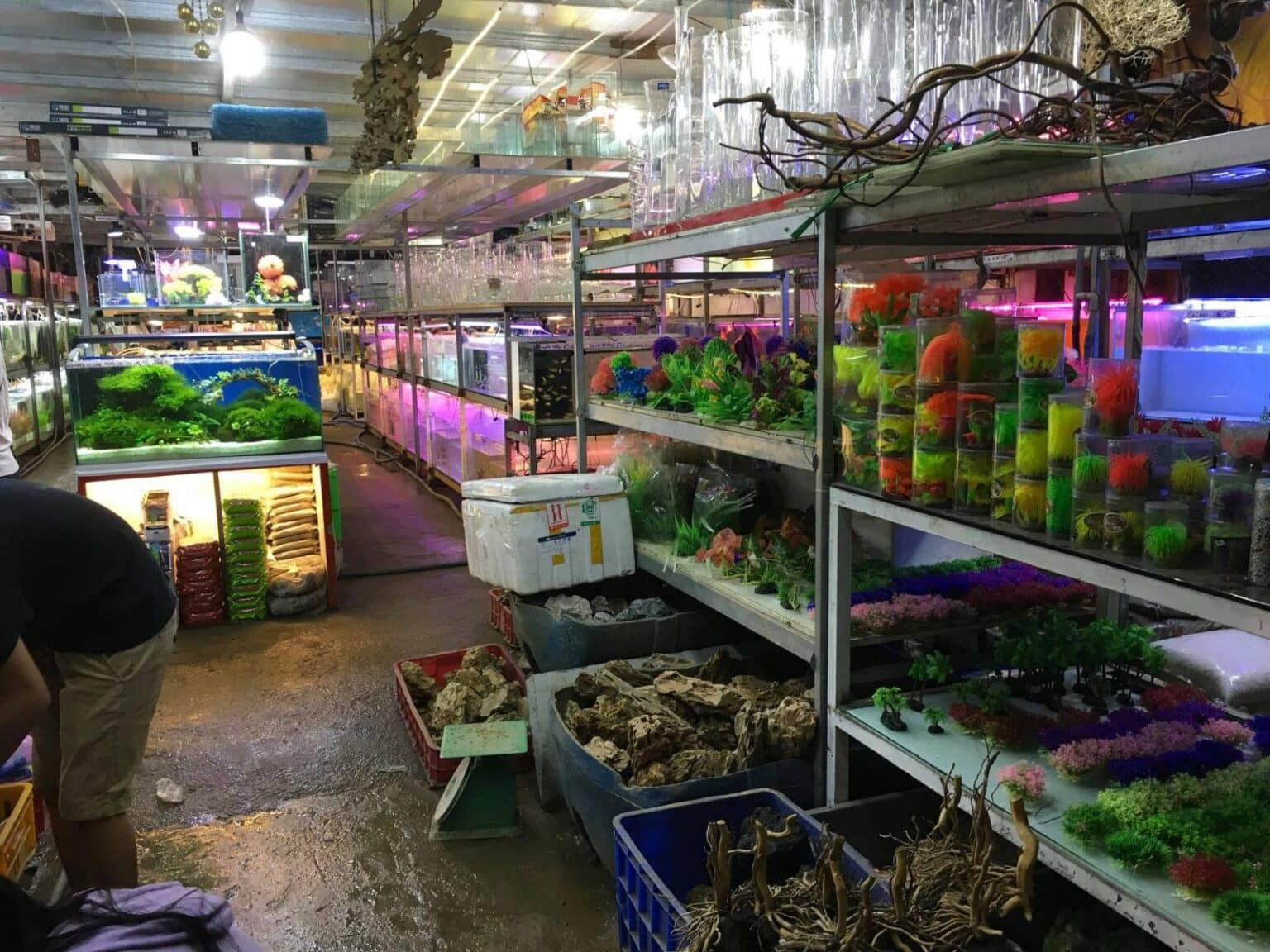 Cá cảnh thủy sinh Trung Tín 718 Trường Chinh