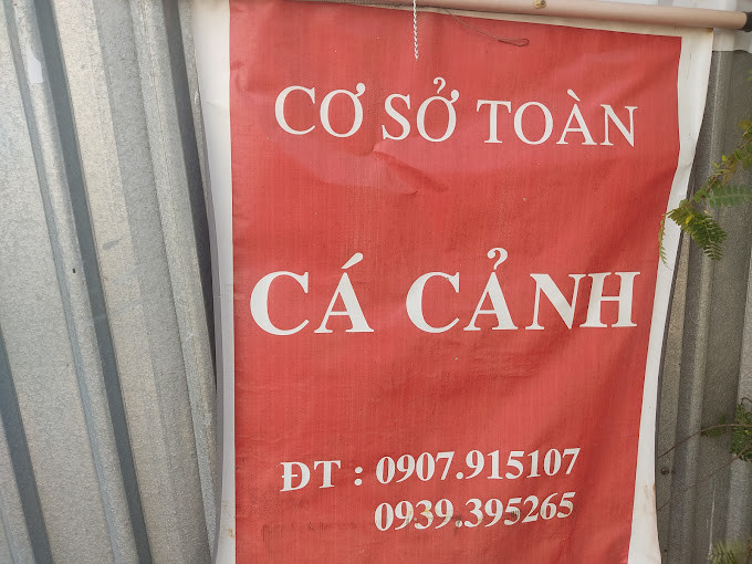 Cá cảnh Toàn với đa dạng loài cá kiểng ở Cần Thơ