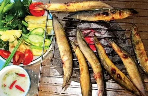 Cá Chạch Giá Bao Nhiêu? Bảng Giá Khô Cá Chạch Đồng Chi Tiết