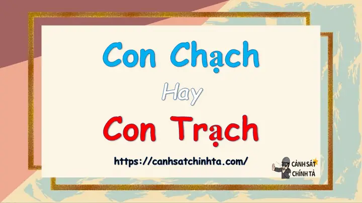 Con chạch nghĩa là gì?