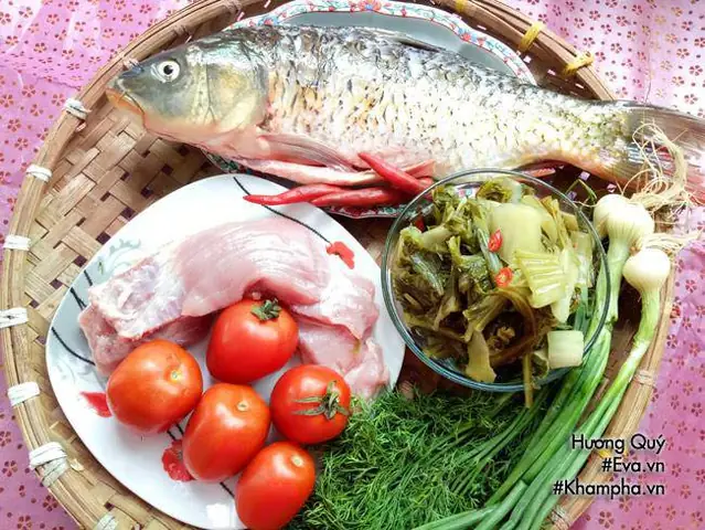 Cá Chạch Kỵ Gì? Hướng Dẫn Chăm Sóc Đúng Cách Từ A-Z