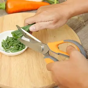 Cá Chạch Lấu Khổng Lồ: Đặc Điểm, Tập Tính và Sự Thật Ít Ai Biết