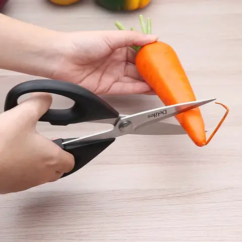 Cá Chạch Lấu Khổng Lồ: Đặc Điểm, Tập Tính và Sự Thật Ít Ai Biết