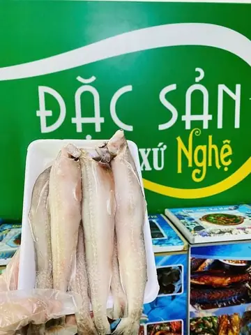 Cá Cháo Là Gì? Đặc Điểm, Phân Bố Và Giá Trị Của Loài Cá Này Cá Cháo Là Gì? Đặc Điểm, Phân Bố Và Giá Trị Của Loài Cá Này