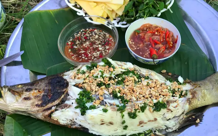 cá chẽm là cá gì