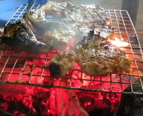Cá Chèo Bẻo Bông: Đặc Điểm Và Cách Nuôi Dưỡng Chi Tiết