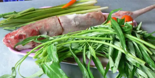 Cá Chèo Bẻo Bông: Đặc Điểm Và Cách Nuôi Dưỡng Chi Tiết