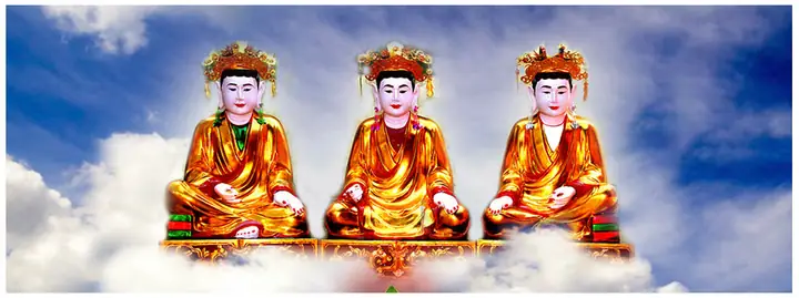 Cá Chép Ăn Thịt Người: Sự Thật Hay Chỉ Là Lời Đồn?