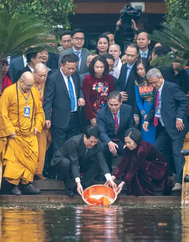 Cá Chép Bào Bào: Đặc Điểm, Cách Nuôi và Chăm Sóc Đúng Kỹ Thuật