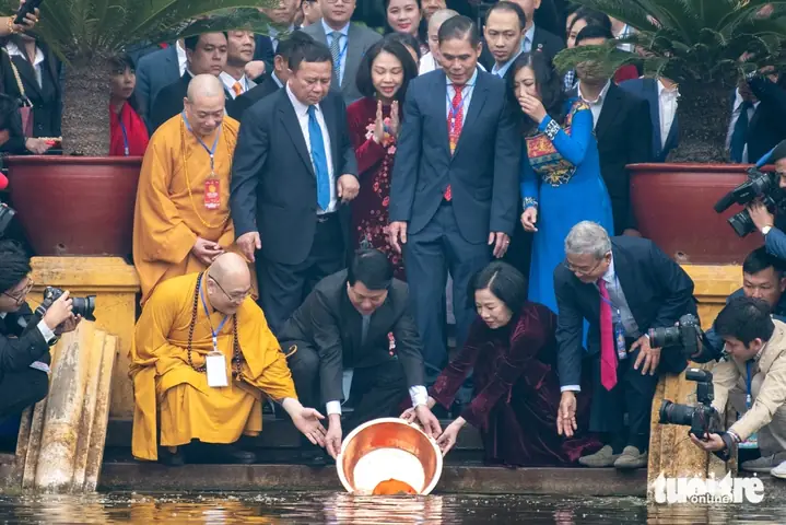 Cá Chép Bào Bào: Đặc Điểm, Cách Nuôi và Chăm Sóc Đúng Kỹ Thuật