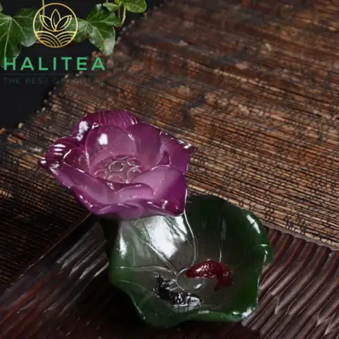 Bông Sen Cá Chép Đổi Màu Trang Trí Bàn Trà