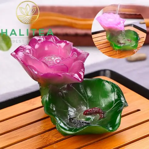 Bông Sen Cá Chép Đổi Màu Trang Trí Bàn Trà