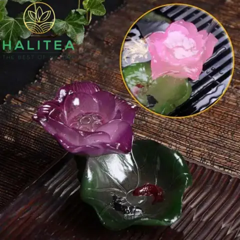 Bông Sen Cá Chép Đổi Màu Trang Trí Bàn Trà