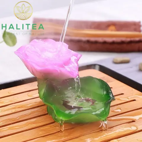 Bông Sen Cá Chép Đổi Màu Trang Trí Bàn Trà