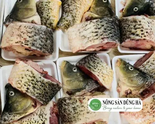 Cá Chép Đỏ Giá Bao Nhiêu? Yếu Tố Ảnh Hưởng Và Bảng Giá Chi Tiết