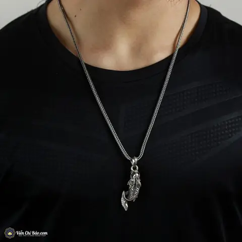 Trang sá»©c cÃ¡ chÃ©p