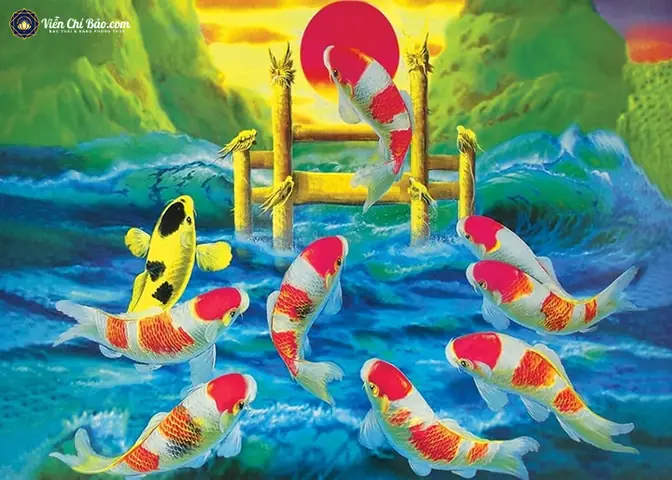 CÃ¡ chÃ©p phong thá»§y lÃ  gÃ¬?