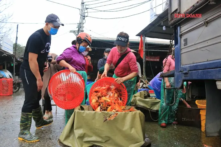 Cá Chép Tam Dương: Đặc Điểm, Ý Nghĩa và Cách Chăm Sóc