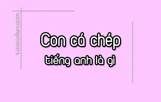 cá chép tiếng anh