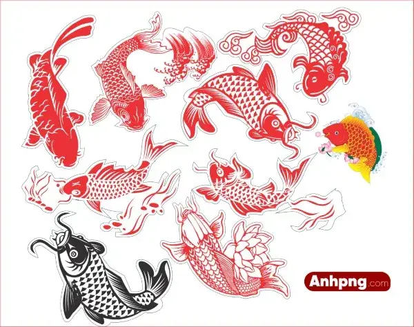 Cá Chép Vàng PNG: Tìm Kiếm, Sử Dụng Và Ý Nghĩa Đặc Biệt