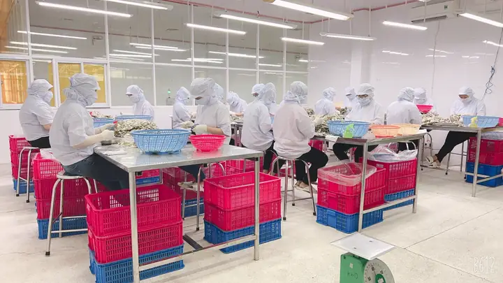 Cá Chỉ Vàng Tiếng Anh Là Gì? Tên Gọi & Đặc Điểm Chi Tiết