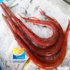 Cá Chìa Vôi Biển Là Gì? Tất Tần Tật Về Loài Cá Đặc Biệt Này Cá Chìa Vôi Biển Là Gì? Tất Tần Tật Về Loài Cá Đặc Biệt Này
