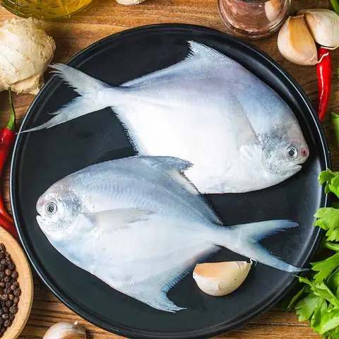 Cá Chim Biển Giá Bao Nhiêu? Yếu Tố Ảnh Hưởng & Mua Ở Đâu