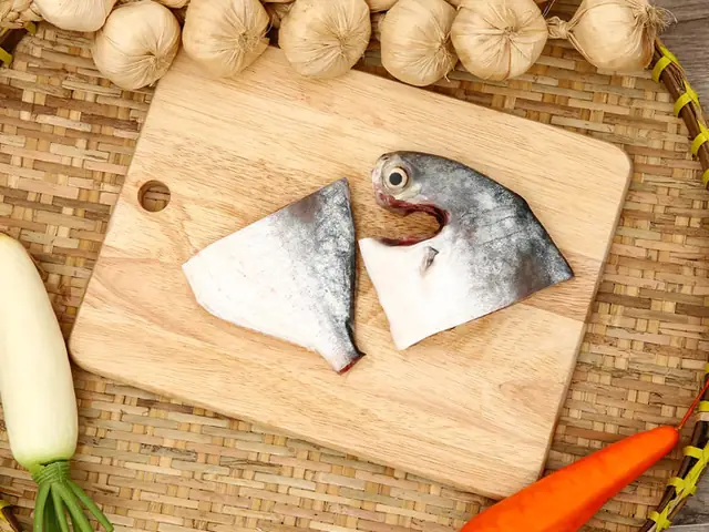 Cá chim đen nước ngọt là gì?