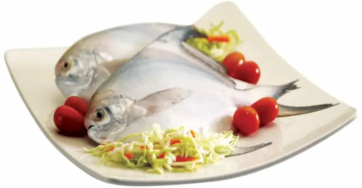 Lợi ích khi ăn cá chim đen nước ngọt