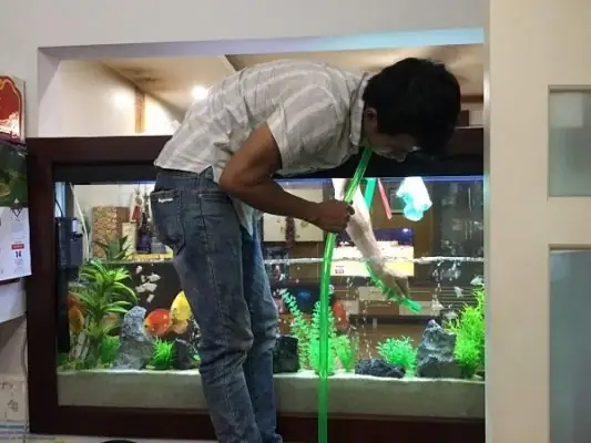 Cá Cảnh Cho Người Mới Chơi: Hướng Dẫn Chi Tiết Từ A Đến Z