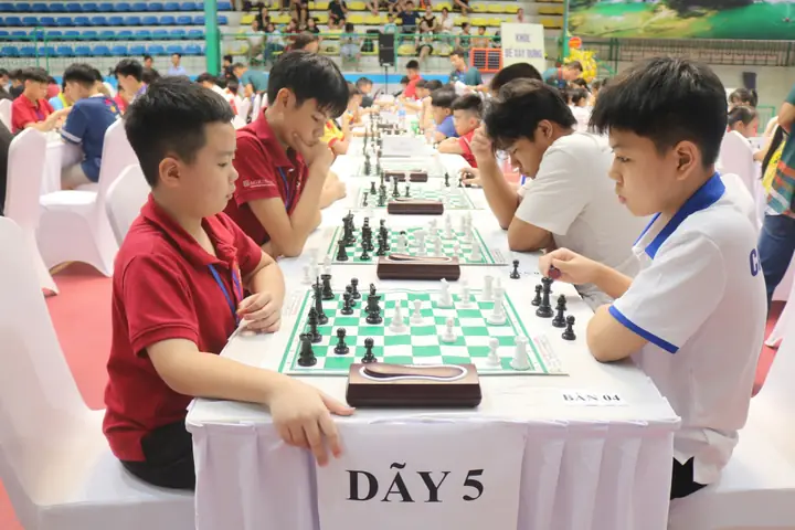 cá cờ miền bắc