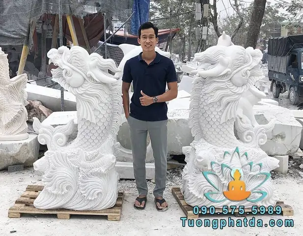 Cá Đá Đẹp Nhất Thế Giới: Tuyển Chọn Những Kiểu Dáng Ấn Tượng