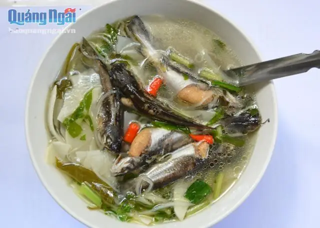 Cá Da Trơn Nước Mặn: Đặc Điểm, Phân Loại và Môi Trường Sống